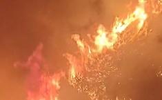 Fiamme alte cinque metri minacciano le case: i residenti fermano il maxi incendio con secchi d'acqua