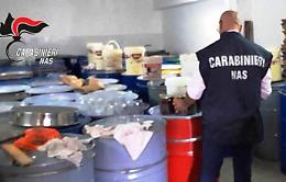 Zafferana Etnea, sette tonnellate di miele sospetto sequestrate dai Nas
