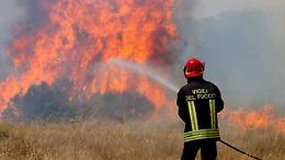 Palermo, fiamme nella notte, gli incendi alimentati dal forte vento