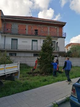 Piano Tavola- Belpasso (Ct): l'albero di Natale di quartiere