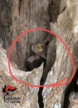 Omicidio ultras nel Trapanese, trovati due fucili nel tronco di un albero