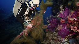 Arrivano in tv le avventure dei "Cacciatori di reti fantasma" nei mari di Sicilia