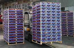 Coronavirus, dalla Sicilia ortaggi per le famiglie di Cremona in difficoltà