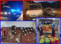 Avevano appena rubato quattro tonnellate
di uva ma arrivano i carabinieri: 6 arresti