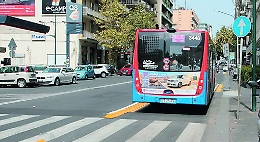 Catania, su viale V. Veneto Arcidiacono: «Corsia bus e cordolo non si toccano»
