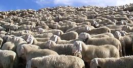 Pastore muore cadendo in un burrone con volo di 30 metri