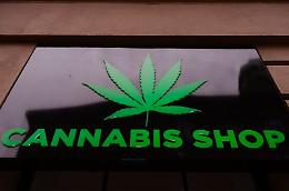 Marijuana, per la Cassazione è reato vendere prodotti derivati: a rischio i negozi di cannabis light