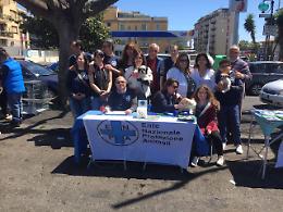 Catania,  40 microchip gratuiti in Piazza Eroi d'Ungheria