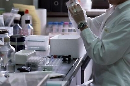 Cos'&egrave; la diossina e quando &egrave; pericolosa per l'uomo