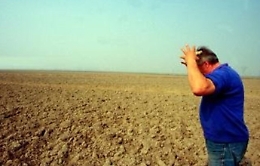 Fondi Ue, l'imprenditore agricolo scoraggiato: «Non chiedete aiuto alla Regione siciliana, è inutile»