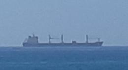 Controlli su quasi 20 mila tonnellate di grano nel porto di Pozzallo