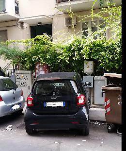 Catania, in via Malta l'inciviltà regna sovrana