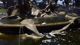 Catania, fontana di Proserpina: schiuma, volatili morti e "accampamenti"