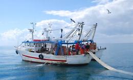 Pesca, l'accordo con le milizie libiche che divide la categoria a Mazara