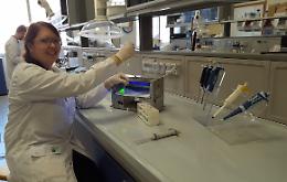 La chimica francese Aurore Fraix 
dalla Francia all'Italia per fare ricerca