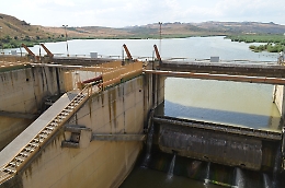 La strage di pesci nell'area protetta di Ponte Barca a Patern&ograve;