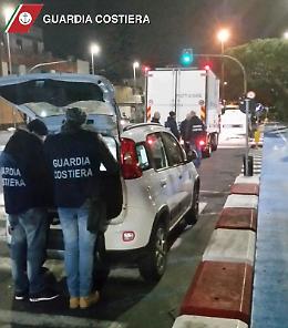 Catania, sequestati 200 kg di pesce in pessimo stato di conservazione