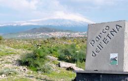 Spot Vodafone, commissario Parco dell'Etna rischia revoca
