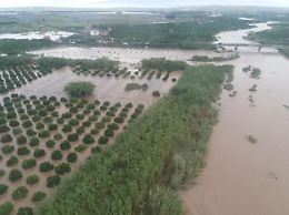 Maltempo, l'urlo di Confagricoltura:
"I campi siciliani colpiti da tsunami"