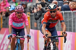 Carapaz vince il Giro d'Italia, Nibali ci ha provato sino all'ultimo ma è secondo