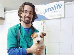 Cani, &laquo;Patentino per i padroni&raquo;