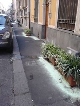 Catania, in via Aloi fioriere non autorizzate e utilizzo di sostanze pericolose