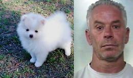 &laquo;O ci dai 500 euro o il cane muore&raquo;: ruba l'animale al fratello e poi chiede riscatto