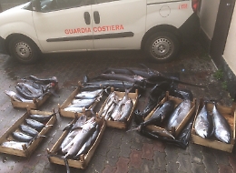 Pesca "fuori legge", lasciano pesce in spiaggia e fuggono via mare