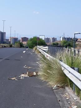 Catania, corso Indipendenza: carreggiata invasa da arbusti