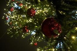 Natale, i simboli di una festa sin da quando correva l'anno....