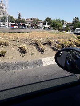 Catania, rotonda di Piazza Alcalà: un deserto!