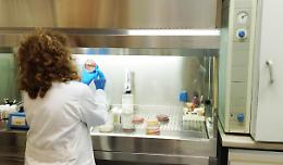 Laboratori di analisi, il Tar sospende l'obbligo degli accorpamenti