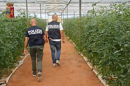 Vittoria, 16 lavoratori "schiavi" nelle serre: denunciati due imprenditori