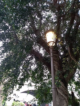 Catania, a Villa Pacini i lampioni restano accesi: perché questo spreco di energia?