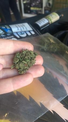 Catania, marijuana venduta in shop "cannabis light" proveniente da spacciatore
