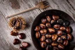 San Martino, tempo di castagne!