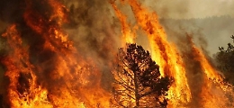 Bando Regione da 50 mln per misure antincendio e calamità: ecco chi può accedere