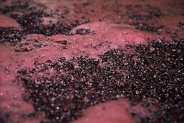 Truffe, mosto spacciato per aceto balsamico: perquisizioni anche in Sicilia