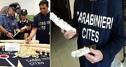 Siracusa, sequestrati 37 monili in avorio forse frutto di caccia di frodo