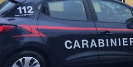 Piantagione con 310 piante di cannabis scoperta ad Altofonte: due arresti