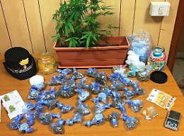 Shampoo, taglio e marijuana, la doppia vita di un parrucchiere abusivo