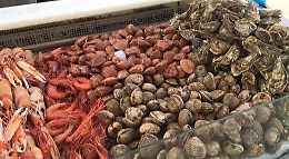 Frutti di mare e pesce sequestrati ad un noto rivenditore di Ognina