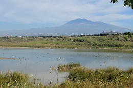 Ponte Barca, quel paradiso dimenticato a due passi dalla citt&agrave;