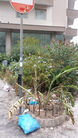 Catania, verde pubblico: tutto tace nella pi&ugrave; completa indifferenza