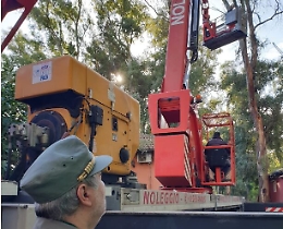Catania, la Forestale mette in sicurezza una parte del Boschetto