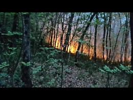 È emergenza ambientale in Sicilia dopo che le fiamme nel 2025 hanno bruciato 49mila ettari