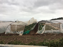 Maltempo nel Siracusano, danni a Marzamemi, Pachino e Portopalo