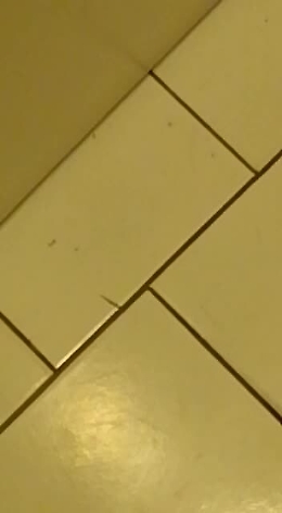 Dermatologia ospedale Vittorio Emanuele: formiche nei bagni?