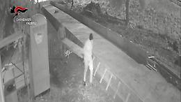 Blitz antimafia Stele, il video diffuso dai carabinieri