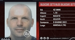Marsala, "Baldo" è stato ritrovato: camminava lungo la strada nei pressi del comando dei vigili urbani